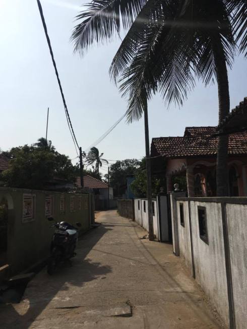 15357015_10154779257613630_801316177_n