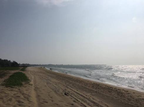 15423681_10154779257523630_1520635789_n